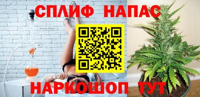 прущие грибы Гусев