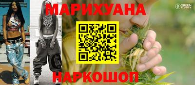прущие грибы Гусев
