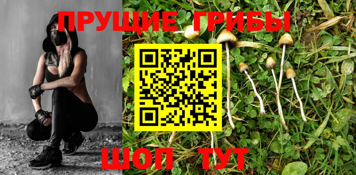 сколько стоит  Галлюциногенные грибы Magic Shrooms  Вход с VPN  Кулебаки  Галлюциногенные грибы GOLDEN TEACHER 