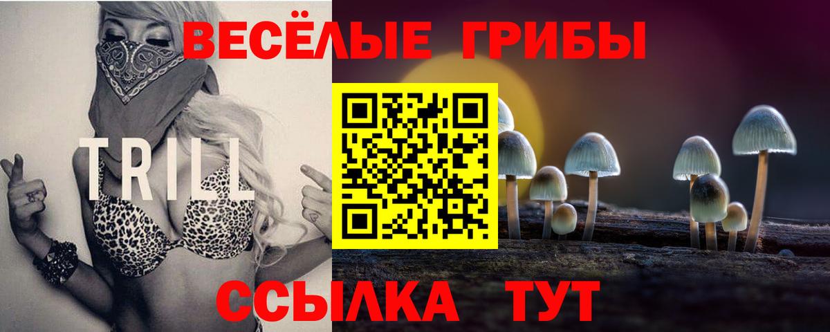 Псилоцибиновые грибы прущие грибы Кулебаки